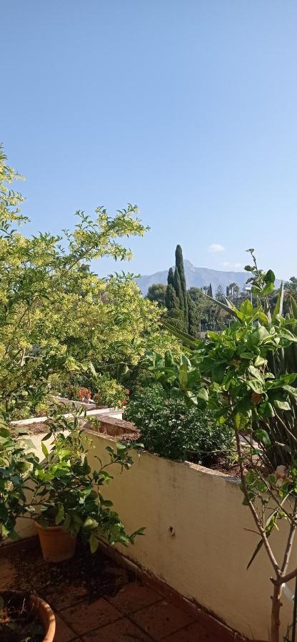 Cozy Room With Sunny Terrace Marbella Eksteriør bilde